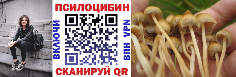 Галлюциногенные грибы прущие грибы Кунгур